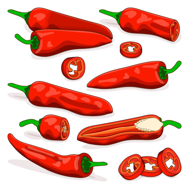 Set with whole, half, quarter, slices of Aleppo peppers. Halaby peppers. Halabe peppers. Capsicum annuum. Chili pepper. Vegetables. Cartoon style. Vector illustration isolated on white background. - Vector, imagen
