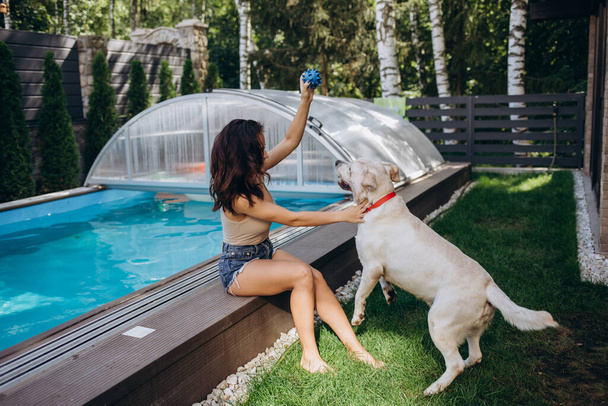 Labrador e menina desfrutar da água azul de uma piscina no verão - Foto, Imagem