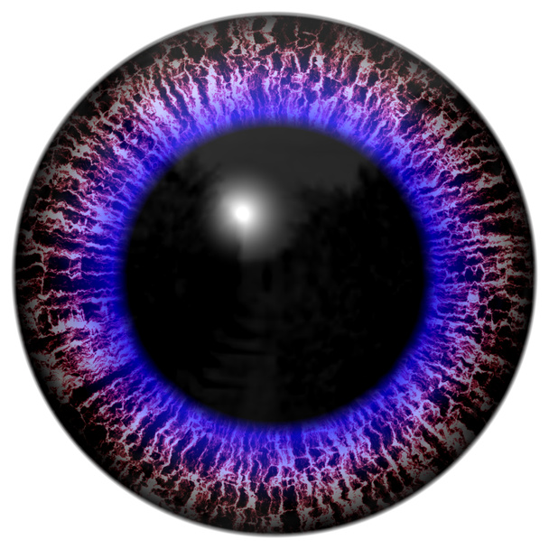 Animal eye with contrast colored iris, detail view into eye - Photo, Image