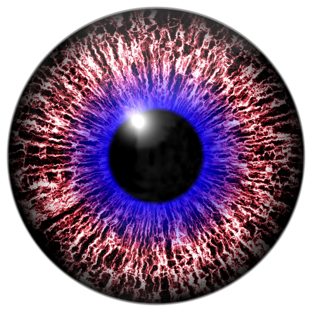 Olho animal com contraste íris colorido, visão detalhada no olho
 - Foto, Imagem