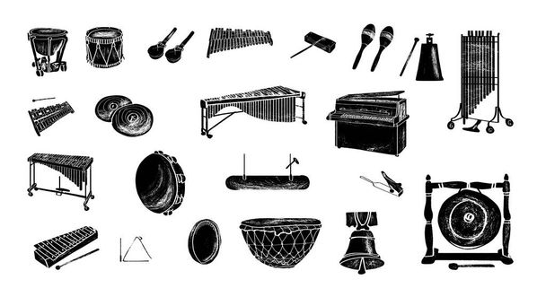 Collection of percussion and noise musical instruments. - Vector, Image