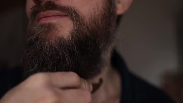 stylischer ernster Mann mit hübschem Bart. Bärtiger Mann kämmt seinen Bart. - Filmmaterial, Video