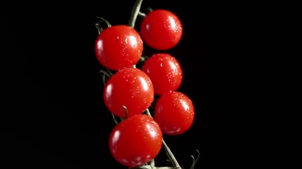 Red Cherry Tomatoes Rotate on a Black Background. Juicy Vegetables in Water Drops. Vegetarian Concept. Slow Motion. - Filmati, video