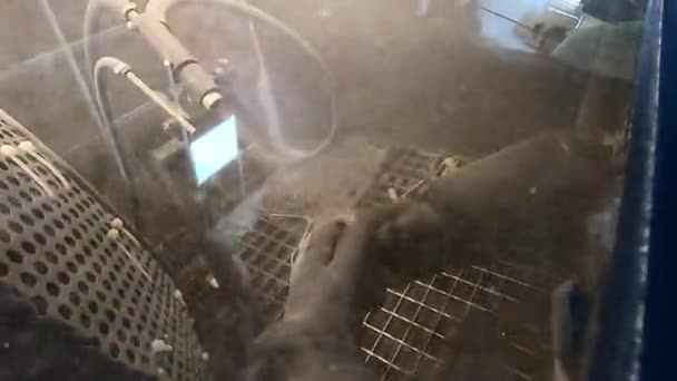 Patlama sesi. Polyamide tozundan 3D yazıcıya basılmış modelin patlaması. Mühürlü lastik eldiven giyen bir işçi, mermiyi patlatarak nesneyi temizler. Endüstriyel - Video, Çekim