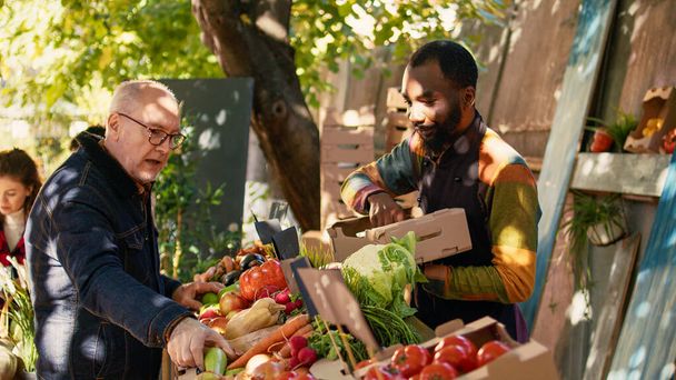 Ouderen volwassen het kopen van kleurrijke verse eco-fruit en groenten op de boerenmarkt, een bezoek aan de oogst beurs. Vrolijke mannelijke verkoper kleine ondernemer toont lokaal geteelde biologische producten. - Foto, afbeelding