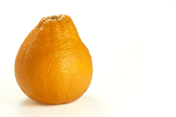 peral naranja
 - Foto, Imagen