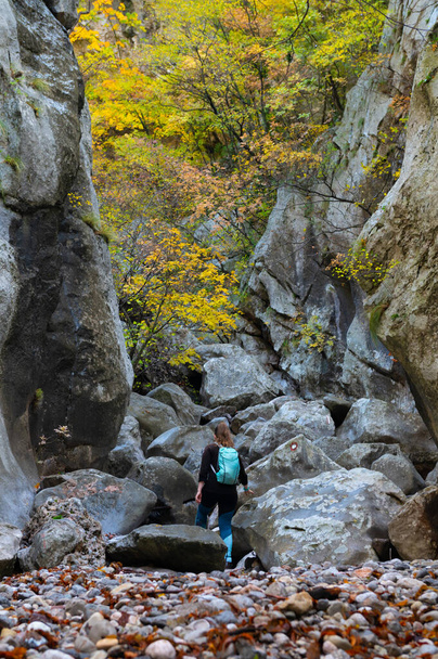 Turista mujer haciendo senderismo en bosque caducifolio entre rocas y piedras. Muchacha senderista colorida naturaleza otoño caminando en el parque nacional en Paklenica Parque Nacional Croacia. Ropa de abrigo de clima frío. - Foto, Imagen