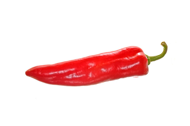 Червоний перець ізольований на білому тлі
 - Фото, зображення