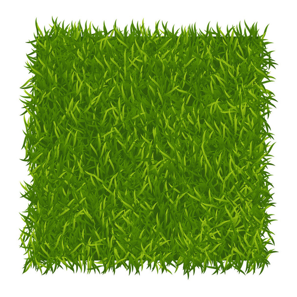 Green grass background. Lawn nature. Abstract field texture. Green grass texture. Vector illustration - Vector, Imagen