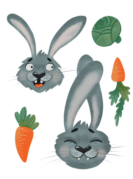 A spring set of cute laughing rabbit heads, cabbage and carrots - Photo, Image