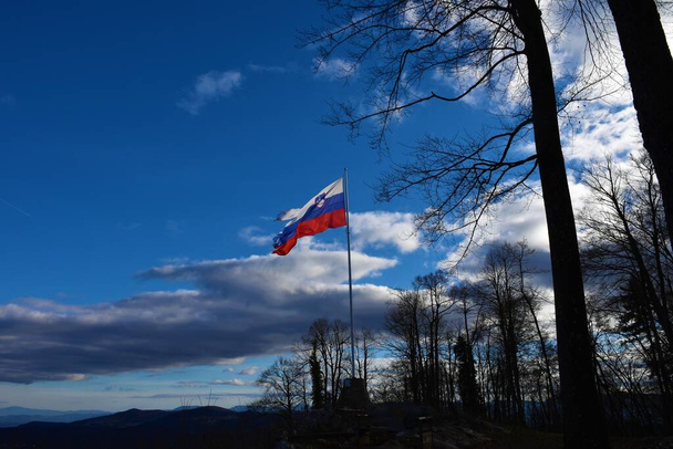 Slovenya 'nın Dolenjska kentinde Grosuplje yakınlarında Ostri vrh' nin tepesinde Slovenya bayrağı - Fotoğraf, Görsel