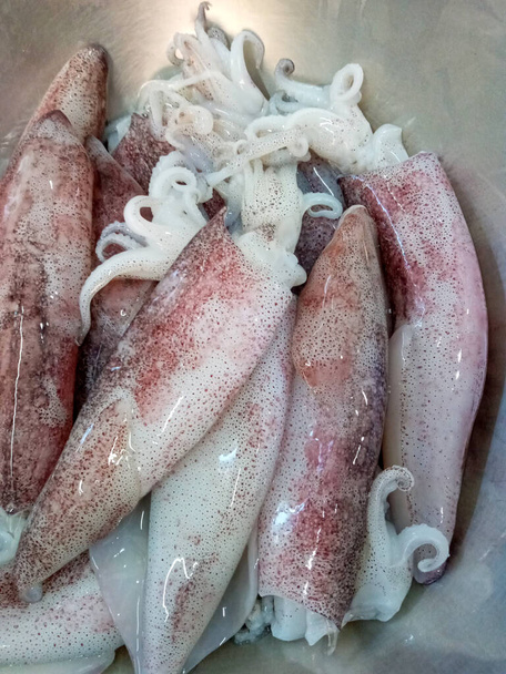 Свіжі кальмари, приготовані для приготування
 - Фото, зображення