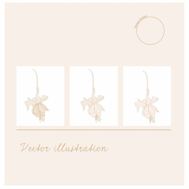 Fuchsia flower line illustration. Isolated flower for printing, blank for designer, icon, logo. - Vector, Image