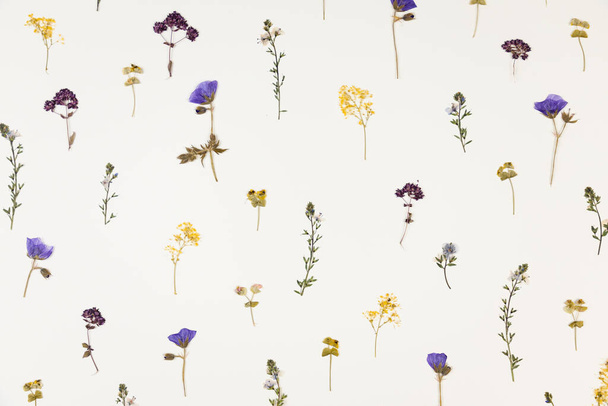 Pattern of pressed dried flowers of field plants. Mockup for greeting card, wedding invitation. Design for printing on fabric, wrapping paper. Abstraction composition. - Foto, imagen