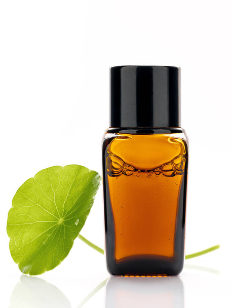 Close up centella asiatica extract in amber bottle with centella asiatica leaves isolated on white background. - Zdjęcie, obraz