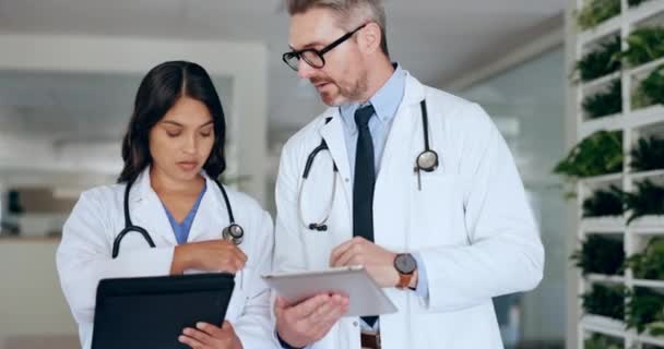 Collaboration teamwork, tablet or doctors consulting about medical innovation, research development or healthcare report. Hospital database, digital archive or man and woman review cardiology results. - Felvétel, videó