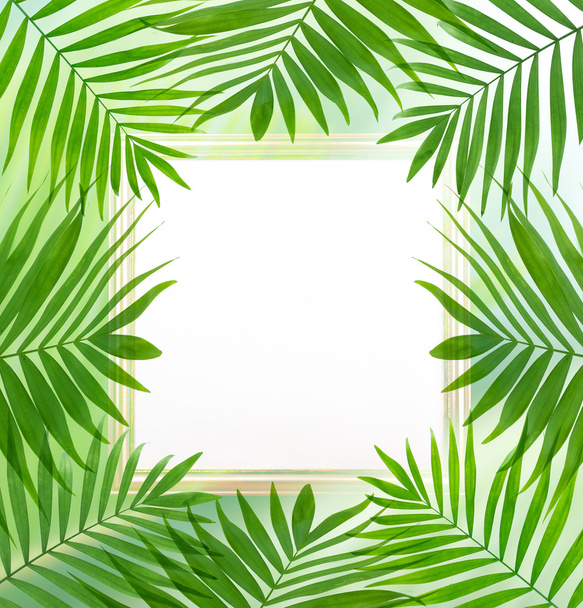 Beautiful palm leaves shaped as frame with space for your text - Foto, afbeelding