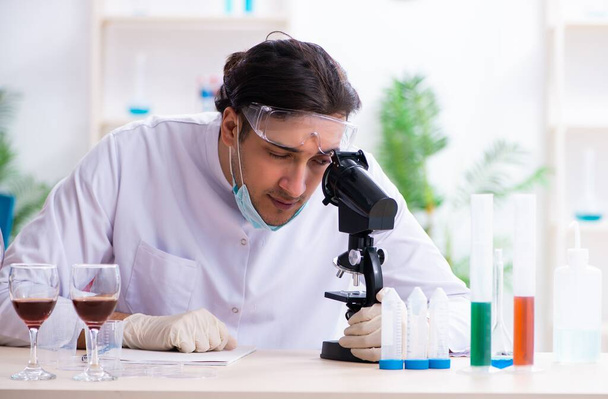 El químico masculino examinando muestras de vino en el laboratorio - Foto, imagen