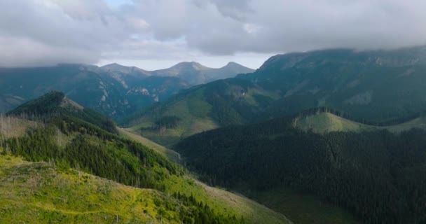 Vista aerea di bellissimo paesaggio montano in estate, cielo nuvoloso, foresta e rocce. Zakopane, Monti Tatra, Polonia - Filmati, video