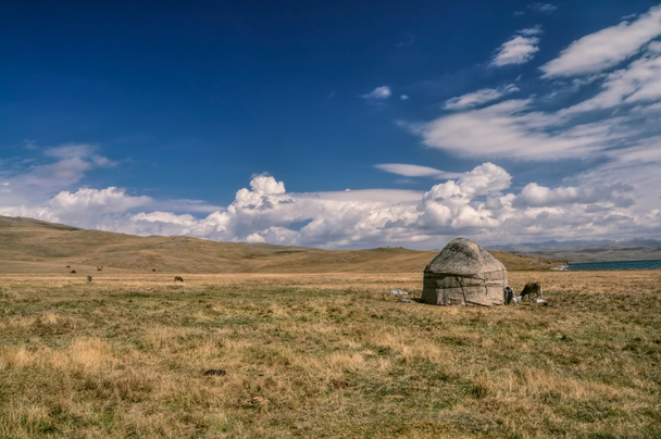 Jurty w Kirgistanie - Zdjęcie, obraz