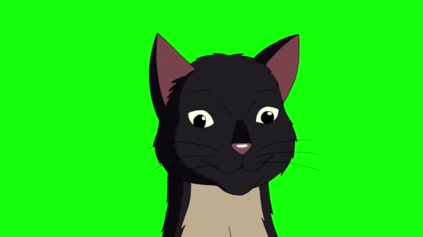 Czarny kot miauczy zbliżenie chroma klucz HD. Ręcznie robione animowane filmy HD izolowane na zielonym ekranie - Materiał filmowy, wideo
