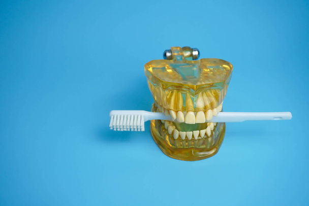 Dentures with a toothbrush on a blue background.Upper and lower jaws with false teeth. Dentures or false teeth, close-up. - Foto, Imagem