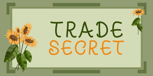 Κείμενο που δείχνει έμπνευση Trade Secret, Επιχειρηματική επισκόπηση Εμπιστευτικές πληροφορίες σχετικά με ένα προϊόν Πνευματική ιδιοκτησία - Φωτογραφία, εικόνα