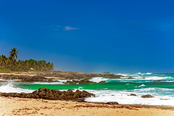 Famous Itapua beach in Salvador Bahia with waves crashing against the reefs and palm trees in the background - Valokuva, kuva