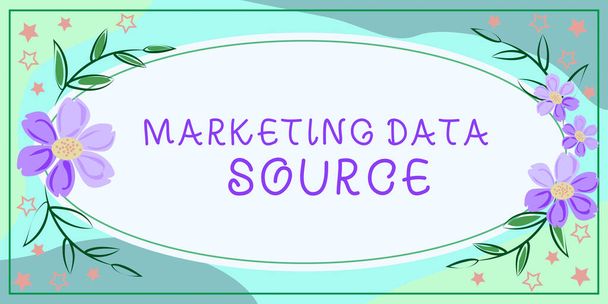 Escribir mostrando texto Marketing Data Source, conexión a Internet Concept configurada en una base de datos desde un servidor - Foto, imagen