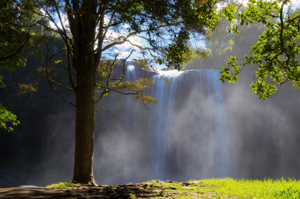 wodospad Whangarei - Zdjęcie, obraz