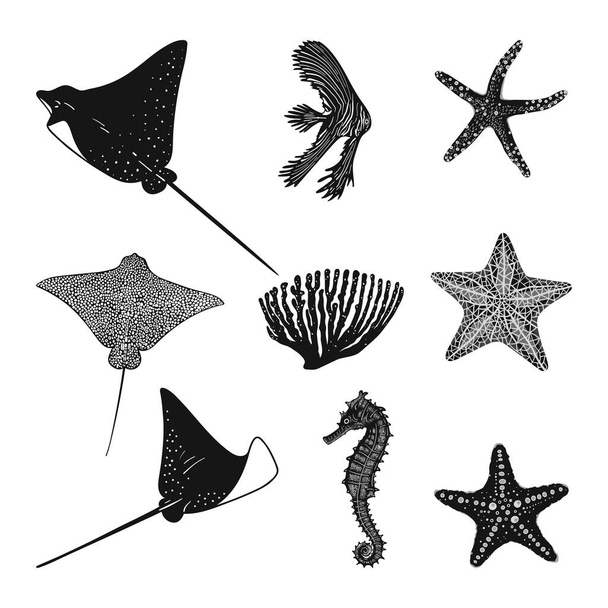 Set of monochrome marine animals isolated on white background. Hand drawn illustration of sea life. Stingray, starfish, seahorse and fish - Vetor, Imagem