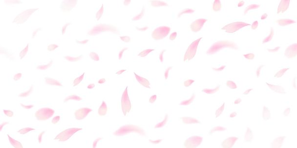 Kersenbloesem bloemblaadjes landschap achtergrond - Vector, afbeelding
