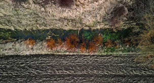 ивовые ветки, приготовленные в качестве украшения к пасхальным праздникам. желтый, оранжевый цвет плетеной фермы. весенний сбор урожая ивовых голов - Фото, изображение