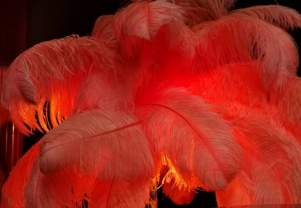 Мягкий оранжевый фейерверк со светящимся насквозь светом. Высокое качество фото - Фото, изображение