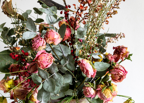 a composition of many different colored flowers from dry, dried flowers, decorative dry plants - Foto, afbeelding