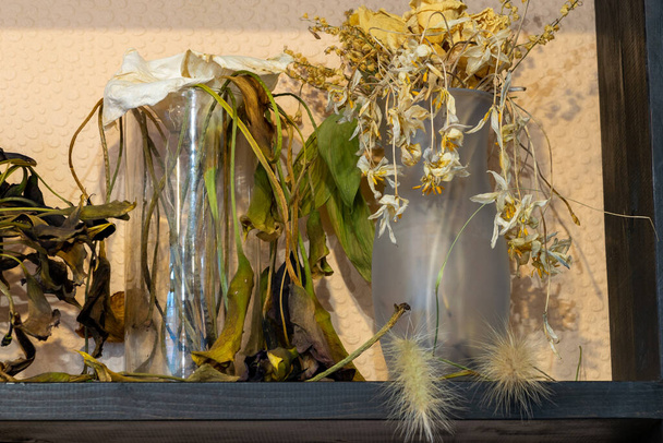 Vazolarda çiçekli fotoğraf, kurumuş çiçeklerden farklı renkte çiçek kompozisyonu, dekoratif kuru bitkiler. - Fotoğraf, Görsel