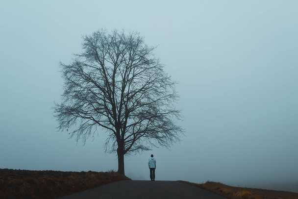 Jongeman loopt op de weg met boom en melancholische mist. Tsjechisch ochtendlandschap - Foto, afbeelding