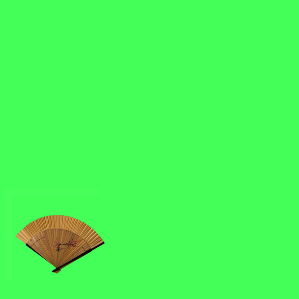 Little elegant wooden fan with fine patterns on an kiwi green background.. Flat lay concept. - Foto, imagen
