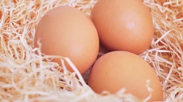 A farmer collects fresh chicken eggs in a chicken coop on a farm. A hand takes a brown chicken egg. 4K video. - Felvétel, videó