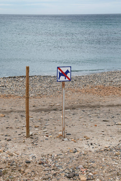 Δεν σκυλιά υπογράψει στην παραλία Las Negras σε μια συννεφιασμένη μέρα - Φωτογραφία, εικόνα