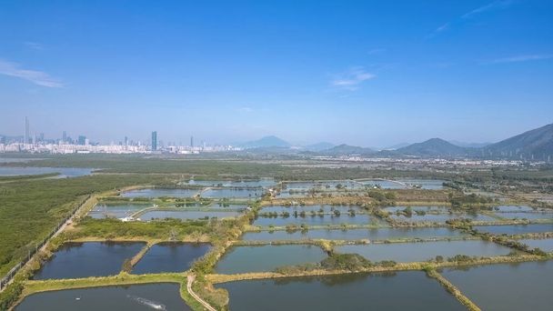 the landscape of Fung Lok Wai Fish Pond 6 Jan 2023 - Foto, Imagen