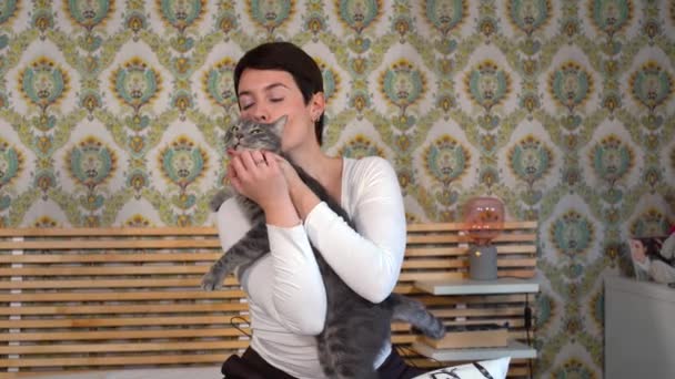 美しい女性はベッドルームで猫と遊んでいます。女はふわふわの灰色の猫を撫でる. - 映像、動画