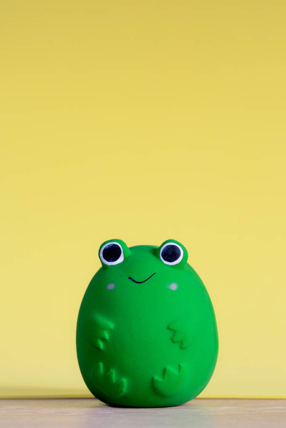 A generic and happy frog soft toy to teach small children about wildlife and nature with copy space - Photo, image