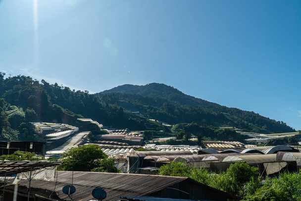 Maisema näkymä vuorelle kasvihuone katon alla aurinkoinen päivä. Kasvihuoneet maatalousmaalla. Ylämaan maatalousmaat. Auringonsäde kasvihuone ja vuori - Valokuva, kuva