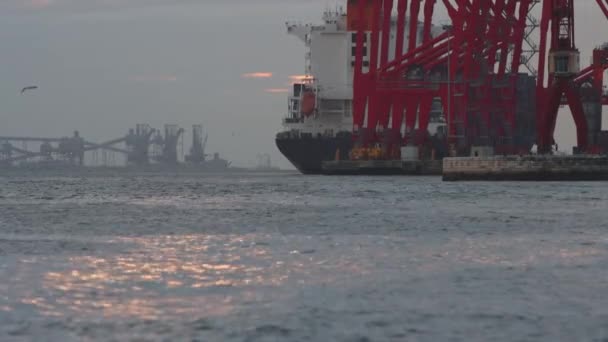 Industrial cranes and ships on the Tagus River. Mid shot - Materiał filmowy, wideo