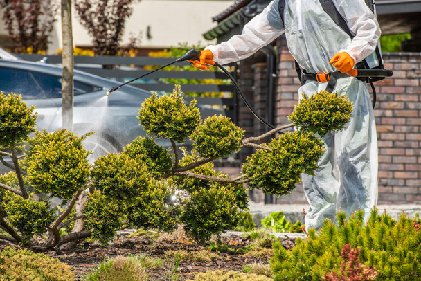 Professional Gardener in Full Body Safety Uniform Spraying Chemicals on Garden Plants with Backpack Sprayer. Pest-Control Treatment Theme. - Fotoğraf, Görsel