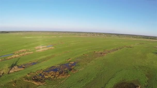 Panorama of  beautiful field with  bright grass in  morning. Aerial - Footage, Video