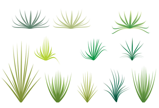 assortment of different types of green blades of grass - Vettoriali, immagini