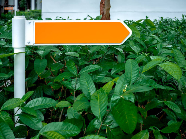 建物の近くの緑の庭で白い極の方向の道路標識の空白のオレンジ色のパステルカラーの空のスペースの背景。近代的な看板、道路標識パネル、最小限のスタイル. - 写真・画像