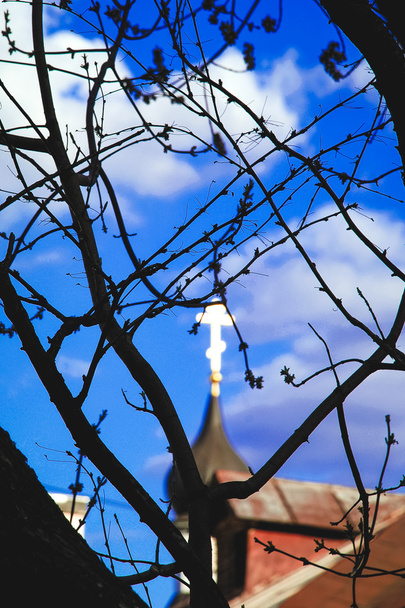 Cross Church through the branches of a tree - Photo, Image